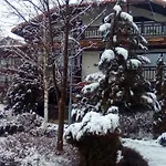 아파트 Alexander 3327 *