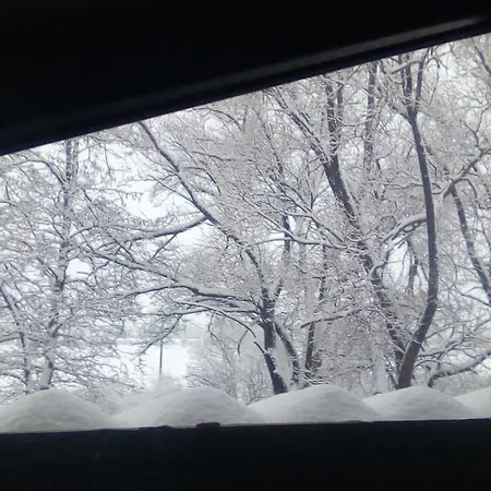 Alexander 3327 Banszko